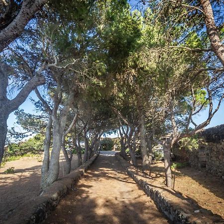 Dammuso I Pini Di Kaddiuggia Βίλα Campobello Εξωτερικό φωτογραφία